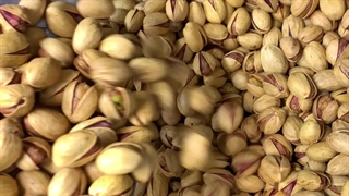 فیلم محصول پسته فندقی