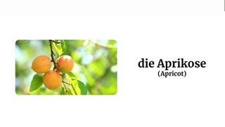 اسامی میوه ها به آلمانی