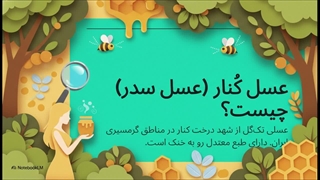 خواص عسل کنار برای زنان
