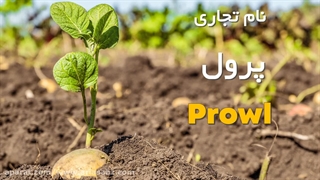 سفارش علف کش پرول، علف کش تضمینی برای مزارع سیب زمینی Prowl