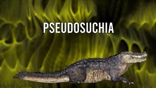 کروکودیل آب شور: باهوش‌تر از هر خزنده‌ای، ضد گلوله، و نوه دایناسورها