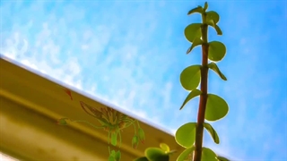 چند ثانیه زیبایی همراه با اردوگاه سیدالشهدا علیه السلام