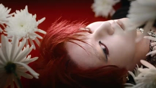 TOKYO DRIFT (Music Video) jpop