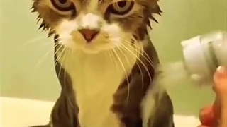 یه چیز رندوم در کانال