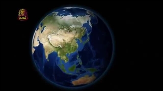 خطرناکترین پرندگان روی زمین