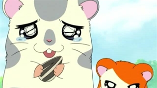 Hamtaro～01 - 01
