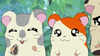 Hamtaro～01 - 04