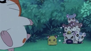Hamtaro～01 - 05