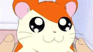 Hamtaro～01 - 06