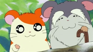 Hamtaro～01 - 11
