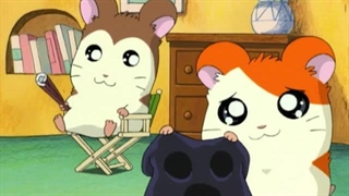 Hamtaro～01 - 13