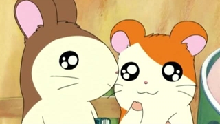 Hamtaro～01 - 16