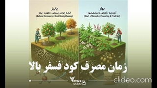زمان مصرف کود فسفر مایع | تایمکس