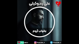 آهنگ بخواب آروم - علی زندوکیلی