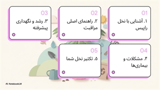 راهنمای_کامل_نخل_راپیس