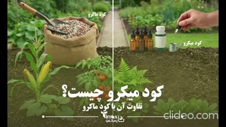 کود میکرو چیست؟ | تایمکس