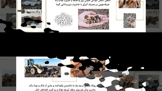 پوکه معدنی ؛ سبکی و استحکام در سازه‌های شما : پوکه معدنی رضایی