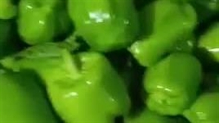 تامین کننده خرما و صیفی جات (جلالی) در بم کرمان