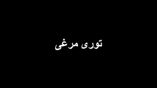 آشنایی با توری مرغی | کاربردها، مزایا و راهنمای خرید توری مرغی