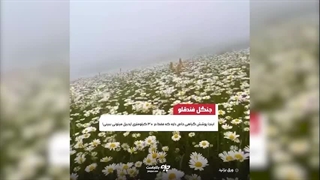 جاکجاست | ۷ تا از بهترین لوکیشن های بهاری برای عکاسی در عید!