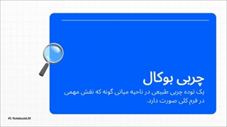 جراحی بوکال فت چگونه انجام می‌شود؟ بررسی نتیجه، ماندگاری و عوارض