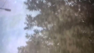 عالی نباش~
