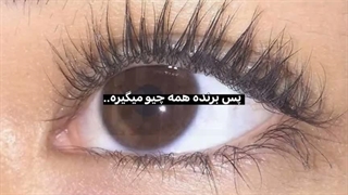 و بازنده…