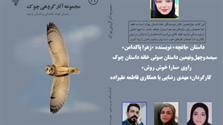 داستان «باغچه» نویسنده «زهرا پاکدامن»