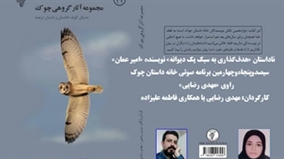 ناداستان «هدف‌گذاری به سبک یک دیوانه»