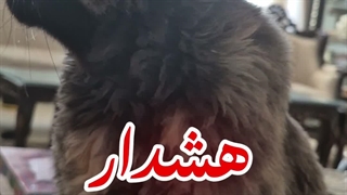 روفرشی یزدی اعلا