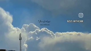 دیوانه ایم مگر ؟!