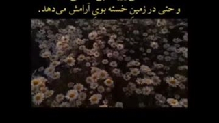 بوی آرامش } ~