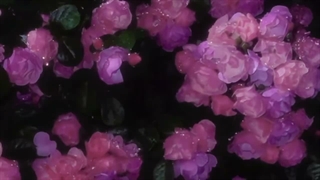 وایبی که بهم میدین