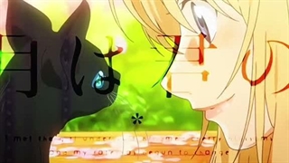 Your Lie in April Edit