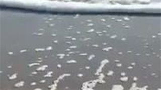 Part:4نجاتم بدین عاشق شدم