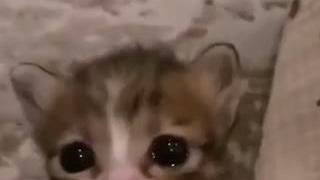 >:|