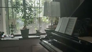 یه کلبه قهوه ای وسط جنگل بدین بهم با کتابام و کاموا و قلاب با قهوه بهم بدین دیگه نمیام نما رو مختون ... بخدااا