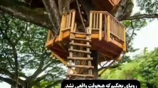 هیچوقت واقعی نشد...