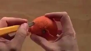 اسب با نارنگی