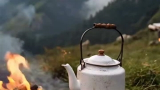 لذت ببرین