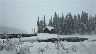 CANADA 