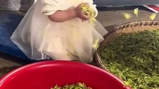 خنده (۲۱) کوچولو بامزه و لجباز
