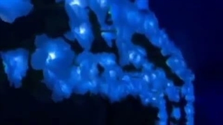 سال نو مبارک☆کپشن