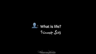 [ زندگی مثل....... یه سوپه و من یه چنگالم ]