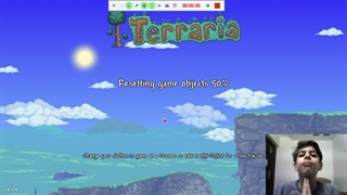 terraria
