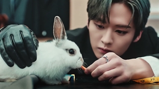 Stray Kids Give Me Your TMI mv