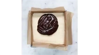 شماره 41