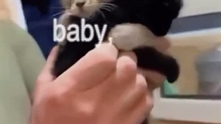 Baby,Love,Me