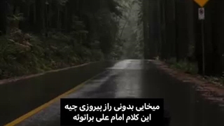 شجاع باش همیشه