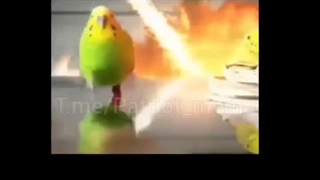 بالاخره سراغ ما هم اومدن :)